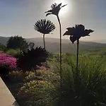 Agroturismo Il Burellino